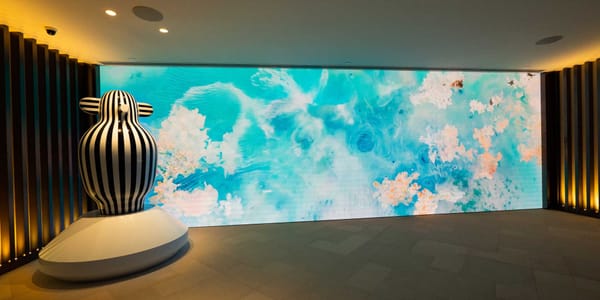Desmond Leung: Afternoon Bloom